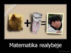 Matematika realybėje - 