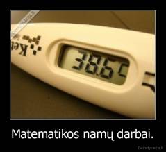 Matematikos namų darbai. - 