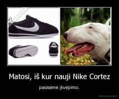 Matosi, iš kur nauji Nike Cortez - pasisėmė įkvėpimo.