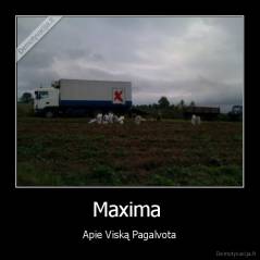 Maxima  - Apie Viską Pagalvota