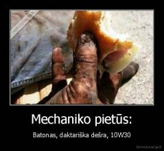 Mechaniko pietūs: - Batonas, daktariška dešra, 10W30