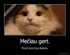 Mečiau gert. - Poryt bus trys dienos.