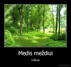 Medis meždiui - miškas