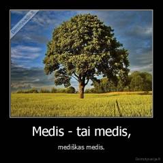 Medis - tai medis, - mediškas medis.