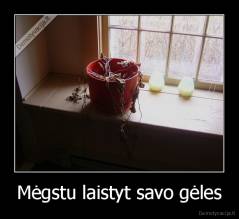 Mėgstu laistyt savo gėles - 