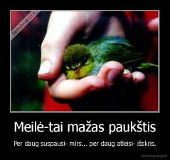 Meilė-tai mažas paukštis - Per daug suspausi- mirs... per daug atleisi- išskris.