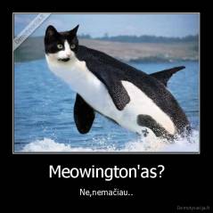 Meowington'as? - Ne,nemačiau..