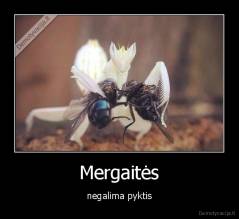 Mergaitės - negalima pyktis