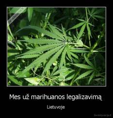 Mes už marihuanos legalizavimą  - Lietuvoje 