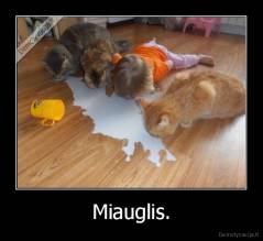 Miauglis. - 