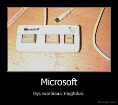 Microsoft - trys svarbiausi mygtukai.