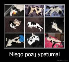 Miego pozų ypatumai - 