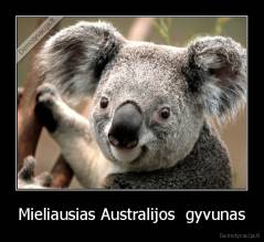 Mieliausias Australijos  gyvunas - 