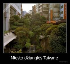 Miesto džiunglės Taivane  - 