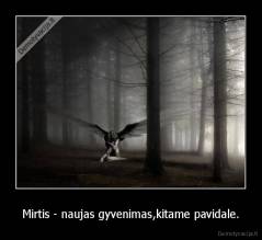 Mirtis - naujas gyvenimas,kitame pavidale. - 