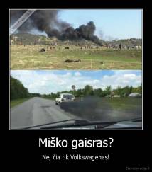 Miško gaisras? - Ne, čia tik Volkswagenas!