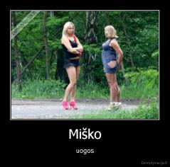 Miško - uogos