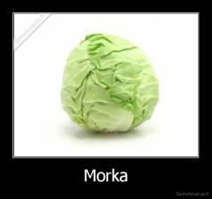 Morka - 