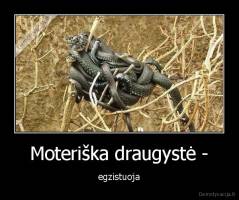 Moteriška draugystė - - egzistuoja