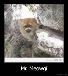 Mr. Meowgi - 