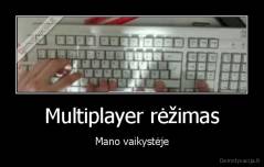 Multiplayer rėžimas - Mano vaikystėje