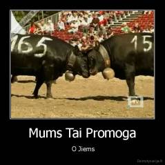 Mums Tai Promoga -  O Jiems