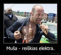 Muša - reiškias elektra. - 