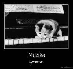 Muzika - Gyvenimas 