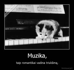 Muzika, - taip romantikai vadina triukšmą.