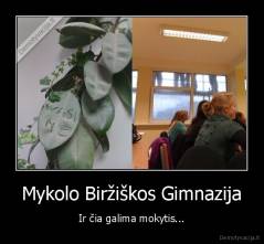 Mykolo Biržiškos Gimnazija - Ir čia galima mokytis...