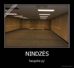 NINDZĖS - Saugokis jų!