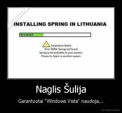Naglis Šulija - Garantuotai "Windows Vista" naudoja...