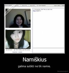 Namiškius - galima sutikti ne tik namie.