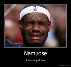 Namuose - Ausines palikau