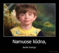 Namuose liūdna, - lauke brangu