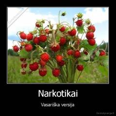 Narkotikai - Vasariška versija