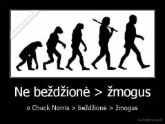 Ne beždžionė > žmogus - o Chuck Norris > beždžionė > žmogus