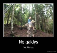 Ne gaidys - bet šis tas