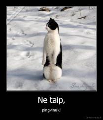 Ne taip, - pingvinuk!