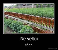 Ne veltui - gėriau 