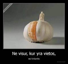 Ne visur, kur yra vietos, - esi tinkantis