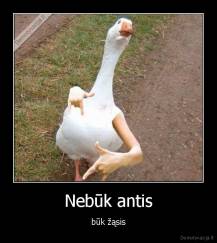 Nebūk antis - būk žąsis