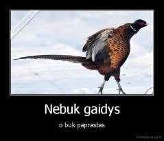 Nebuk gaidys - o buk paprastas