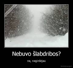 Nebuvo šlabdribos? - ne, negirdėjau