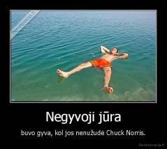 Negyvoji jūra - buvo gyva, kol jos nenužudė Chuck Norris.