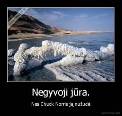 Negyvoji jūra. - Nes Chuck Norris ją nužudė