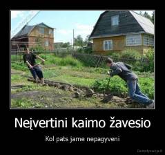 Neįvertini kaimo žavesio - Kol pats jame nepagyveni