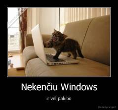 Nekenčiu Windows - ir vėl pakibo