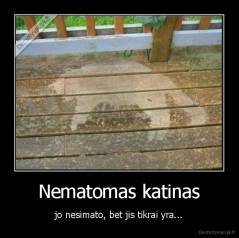 Nematomas katinas - jo nesimato, bet jis tikrai yra...