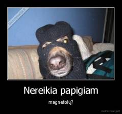 Nereikia papigiam - magnetolų?